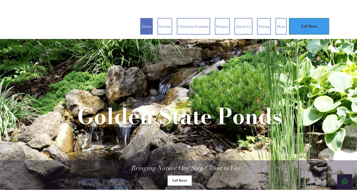 Golden State Ponds before redesign